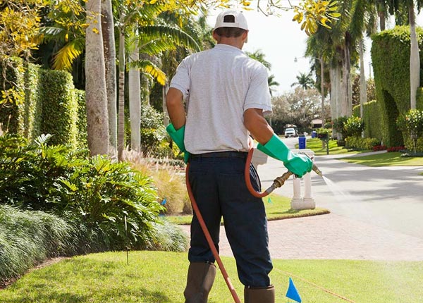 About Charlotte AR Pest Control Pros